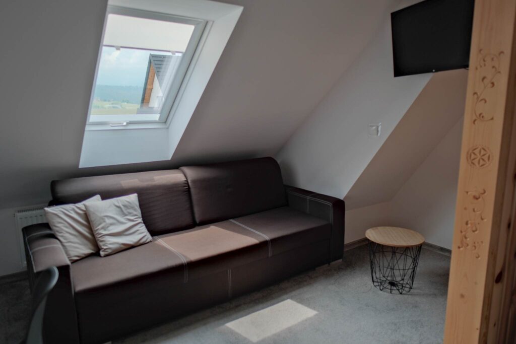 Kanapa z funkcją spania w apartamencie w Noclegach u Mani Kanapa z funkcją spania w apartamencie w Noclegach u Mani